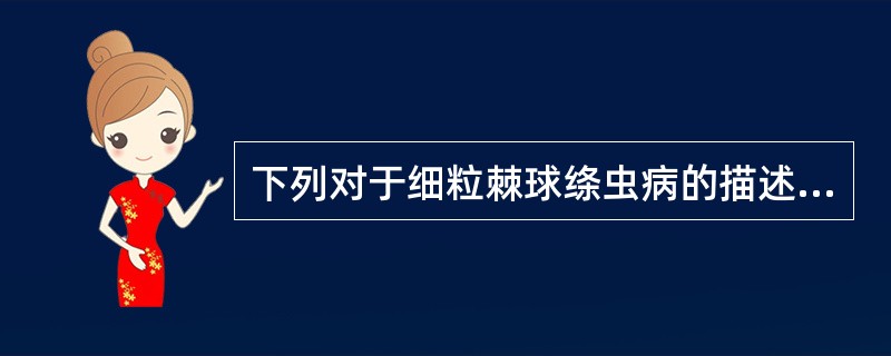 下列对于细粒棘球绦虫病的描述中属于错误的是A、成虫寄生于犬科动物的小肠B、棘球蚴