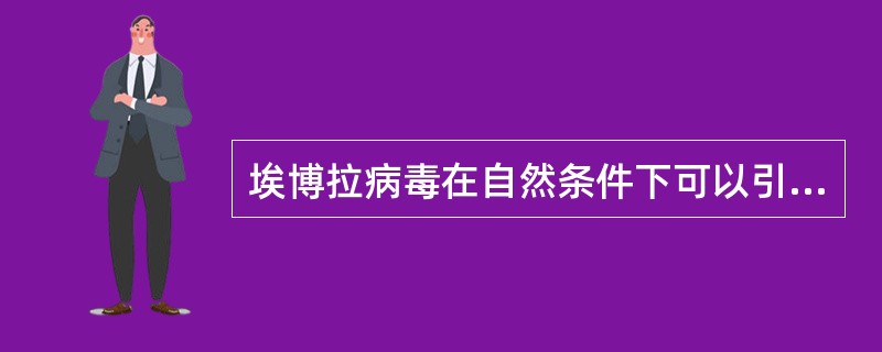 埃博拉病毒在自然条件下可以引起下列哪些群体发病A、野生动物B、猴和人C、禽类D、