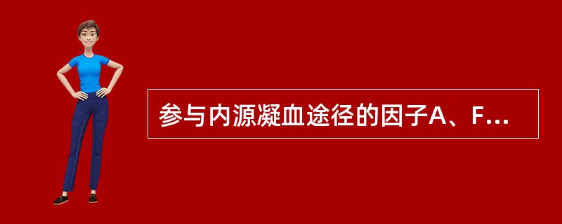 参与内源凝血途径的因子A、FⅢ、FⅤ、FⅩ、FⅫB、FⅡ、FⅦ、FⅨ、FⅧC、F