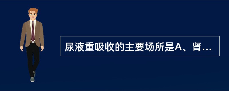 尿液重吸收的主要场所是A、肾近曲小管B、肾远曲小管C、集合管D、肾小囊E、肾小球