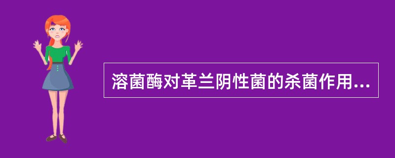 溶菌酶对革兰阴性菌的杀菌作用弱,是因为革兰阴性菌A、有外膜B、无肽聚糖C、细胞壁