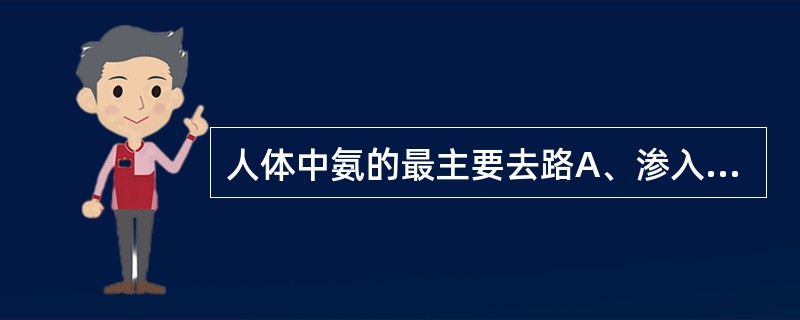 人体中氨的最主要去路A、渗入肠道B、在肝中合成尿素C、经肾泌氨D、合成氨基酸E、