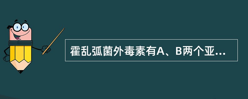 霍乱弧菌外毒素有A、B两个亚单位,其中A亚单位分为A1和A2,毒素的活性部分是