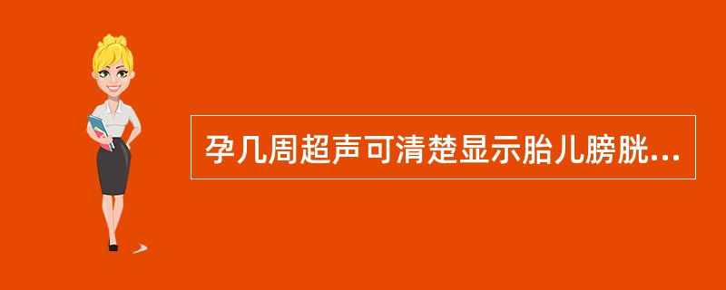 孕几周超声可清楚显示胎儿膀胱A、9周B、12周C、15周D、20周E、8周 -