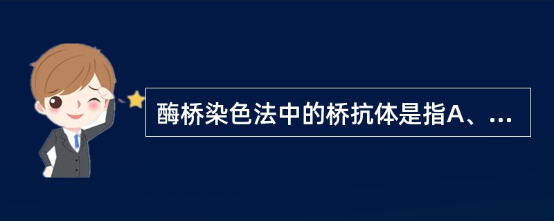 酶桥染色法中的桥抗体是指A、免疫反应系统中的特异性抗体B、显色系统中的抗酶抗体C