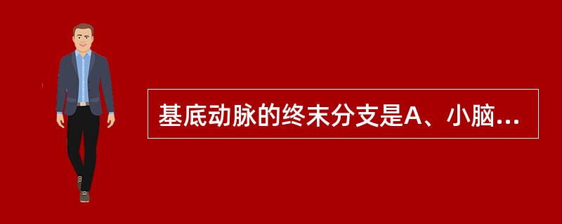 基底动脉的终末分支是A、小脑后下动脉B、大脑后动脉C、椎动脉D、后交通动脉E、小