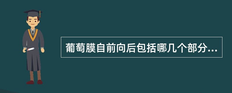 葡萄膜自前向后包括哪几个部分:A、虹膜、睫状体和脉络膜三个部分B、角膜、睫状体和