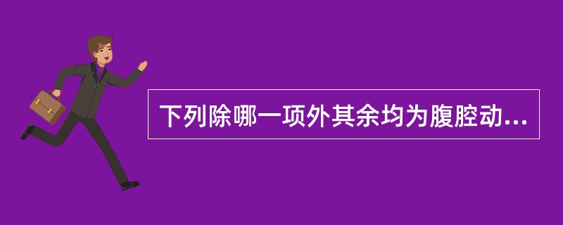 下列除哪一项外其余均为腹腔动脉的分支:A、脾动脉B、胃十二指肠动脉C、胃左动脉D