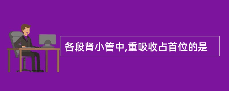 各段肾小管中,重吸收占首位的是