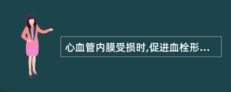 心血管内膜受损时,促进血栓形成的因素有