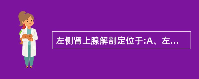 左侧肾上腺解剖定位于:A、左肾、脾、下腔静脉之间B、左肾、左腰肌、左半膈肌之间C
