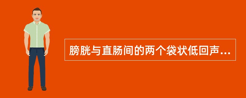 膀胱与直肠间的两个袋状低回声是 ( )A、前列腺B、精囊腺C、睾丸D、输精管E、