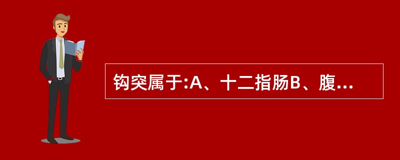 钩突属于:A、十二指肠B、腹后壁C、肝尾叶D、胰腺