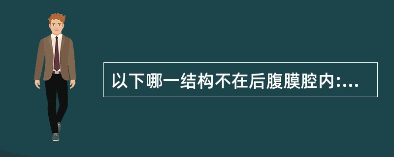 以下哪一结构不在后腹膜腔内:A、腹主动脉B、肾C、脾D、腰大肌