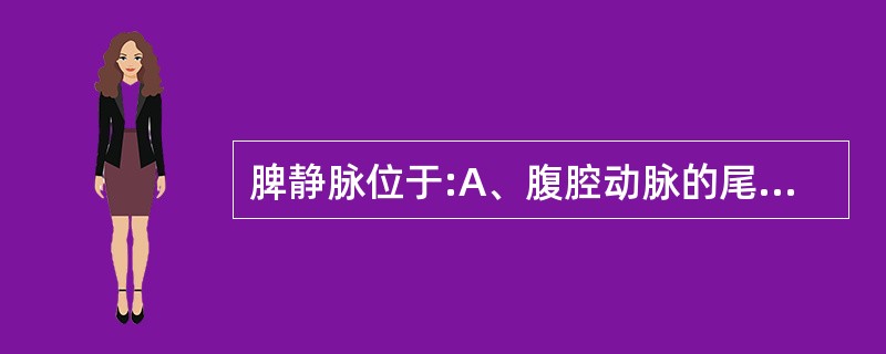 脾静脉位于:A、腹腔动脉的尾侧B、腹主动脉前方C、肠系膜上动脉前方D、以上各项均