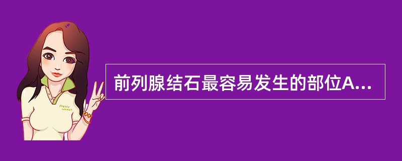 前列腺结石最容易发生的部位A、内外腺间B、外腺C、内腺D、尿道周围E、前列腺外缘