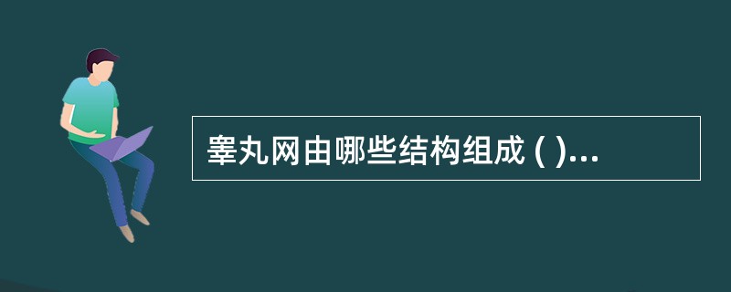 睾丸网由哪些结构组成 ( )A、睾丸纵隔中精直小管吻合而成B、睾丸白线组成C、进