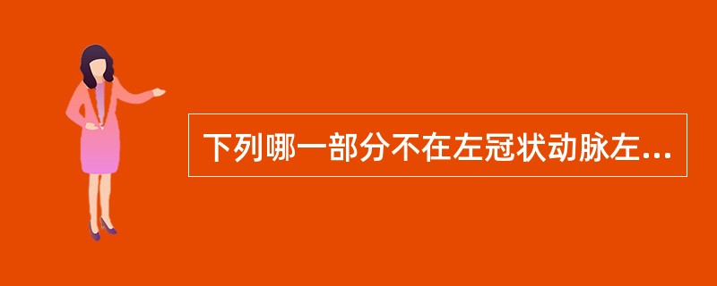 下列哪一部分不在左冠状动脉左旋支的供血范围A、左心室侧壁B、左心室后壁C、左心室