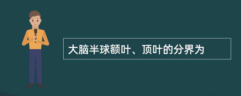 大脑半球额叶、顶叶的分界为