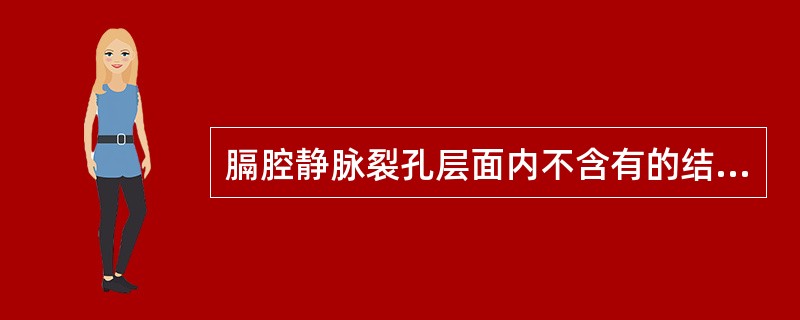 膈腔静脉裂孔层面内不含有的结构为A、食管B、气管C、胸主动脉D、奇静脉E、胸导管