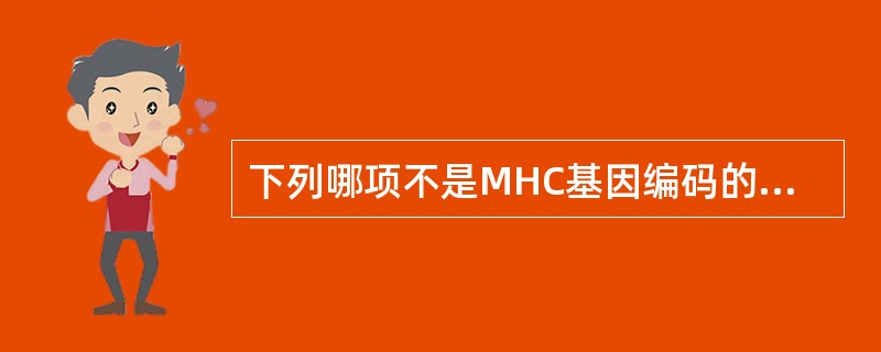 下列哪项不是MHC基因编码的产物( )A、MHCⅠ类分子α链B、MHCⅡ类分子α