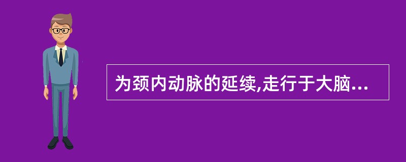 为颈内动脉的延续,走行于大脑外侧沟的动脉为