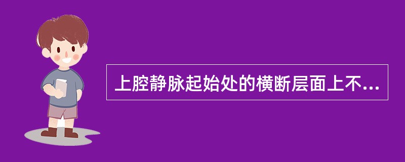 上腔静脉起始处的横断层面上不出现A、左锁骨下动脉B、左颈总动脉C、头臂干D、主动