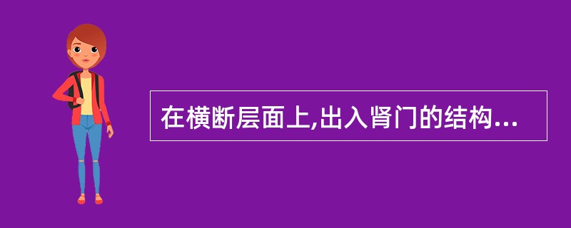 在横断层面上,出入肾门的结构由前向后分别为A、肾静脉、肾动脉、肾盂B、肾动脉、肾