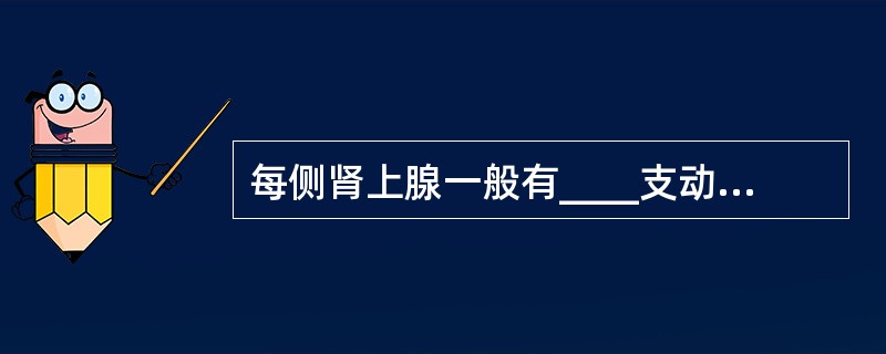 每侧肾上腺一般有____支动脉供应A、2B、3C、4D、5E、6