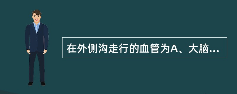 在外侧沟走行的血管为A、大脑前动脉B、大脑中动脉C、大脑后动脉D、基底动脉E、后