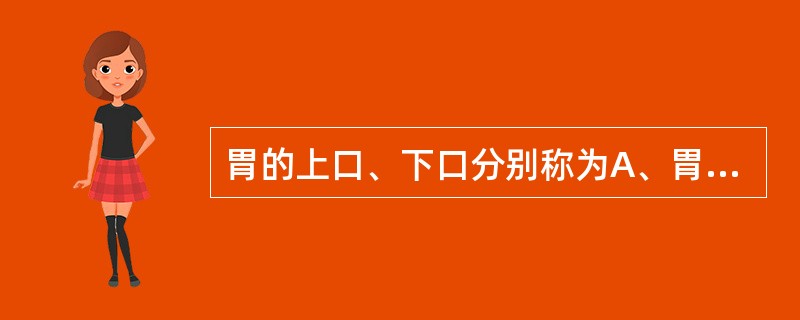 胃的上口、下口分别称为A、胃小弯B、胃大弯C、幽门D、贲门E、胃体