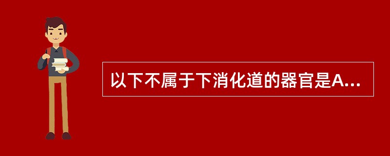 以下不属于下消化道的器官是A、十二指肠B、空肠C、回肠D、盲肠E、直肠