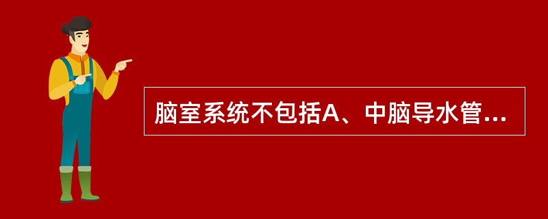 脑室系统不包括A、中脑导水管B、侧脑室C、枕大池D、四脑室E、三脑室