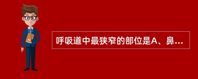 呼吸道中最狭窄的部位是A、鼻孔B、鼻后孔C、喉口D、前庭裂E、声门裂