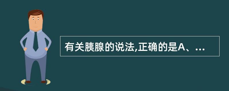 有关胰腺的说法,正确的是A、是狭长形的腺体B、分头、体、尾和钩突四部分C、胰尾与