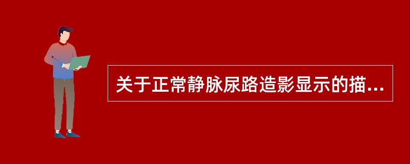 关于正常静脉尿路造影显示的描述,错误的是A、未注射对比剂肾脏不显示B、注入对比剂