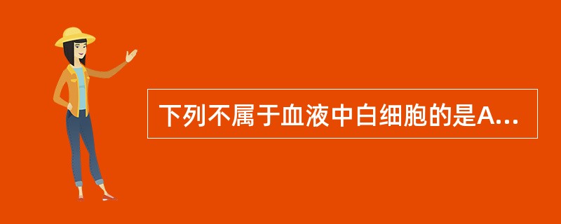 下列不属于血液中白细胞的是A、嗜酸性粒细胞B、淋巴细胞C、单核细胞D、内皮细胞E