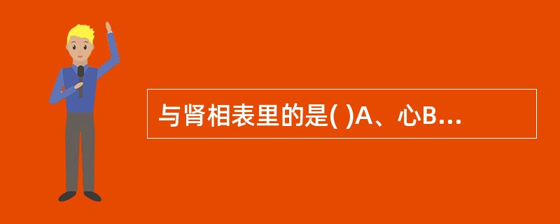 与肾相表里的是( )A、心B、膀胱C、大肠D、小肠E、三焦