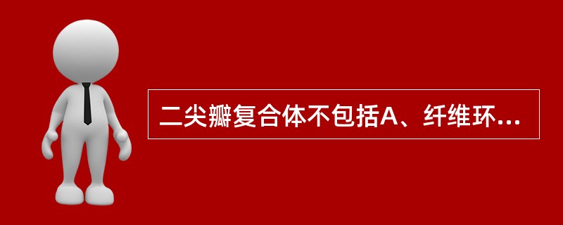 二尖瓣复合体不包括A、纤维环B、二尖瓣C、腱索D、乳头肌E、主动脉前庭