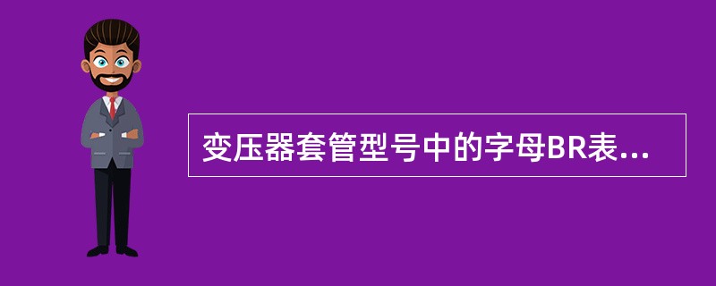 变压器套管型号中的字母BR表示( )。