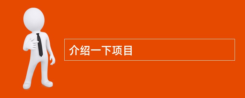 介绍一下项目