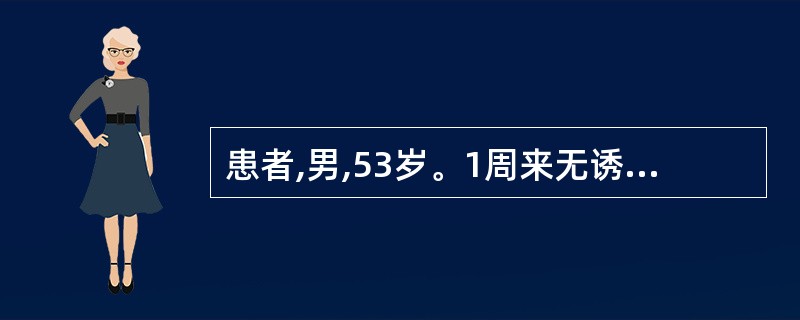 患者,男,53岁。1周来无诱因终末血尿3次,无发热,无尿频、尿痛等不适。吸烟史2