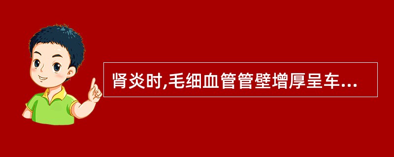 肾炎时,毛细血管管壁增厚呈车轨状或分层状见于