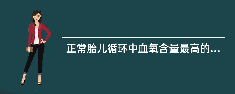 正常胎儿循环中血氧含量最高的部位是A、脐动脉B、脐静脉C、主动脉D、右心房E、左