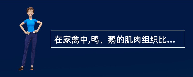 在家禽中,鸭、鹅的肌肉组织比鸡的要()。