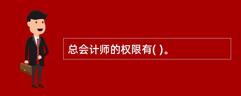 总会计师的权限有( )。