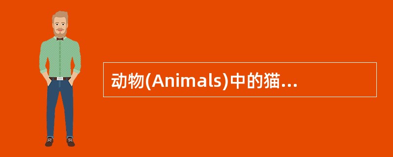 动物(Animals)中的猫(Cat)和狗(Dog)都有跑(Run)的动作。请运