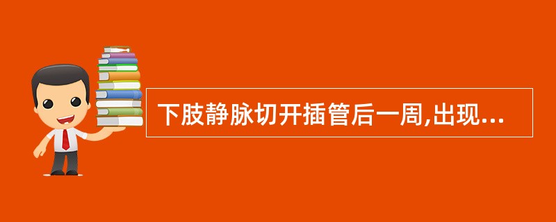 下肢静脉切开插管后一周,出现寒战、高热,静脉切开处伤口红肿,并有脓性分泌物,此时