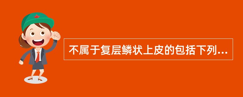 不属于复层鳞状上皮的包括下列哪些A、子宫颈管内膜上皮B、输卵管内膜上皮C、子宫颈