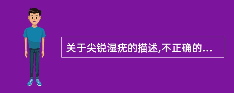 关于尖锐湿疣的描述,不正确的是A、尖锐湿疣主要通过性接触传播B、尖锐湿疣的病原体